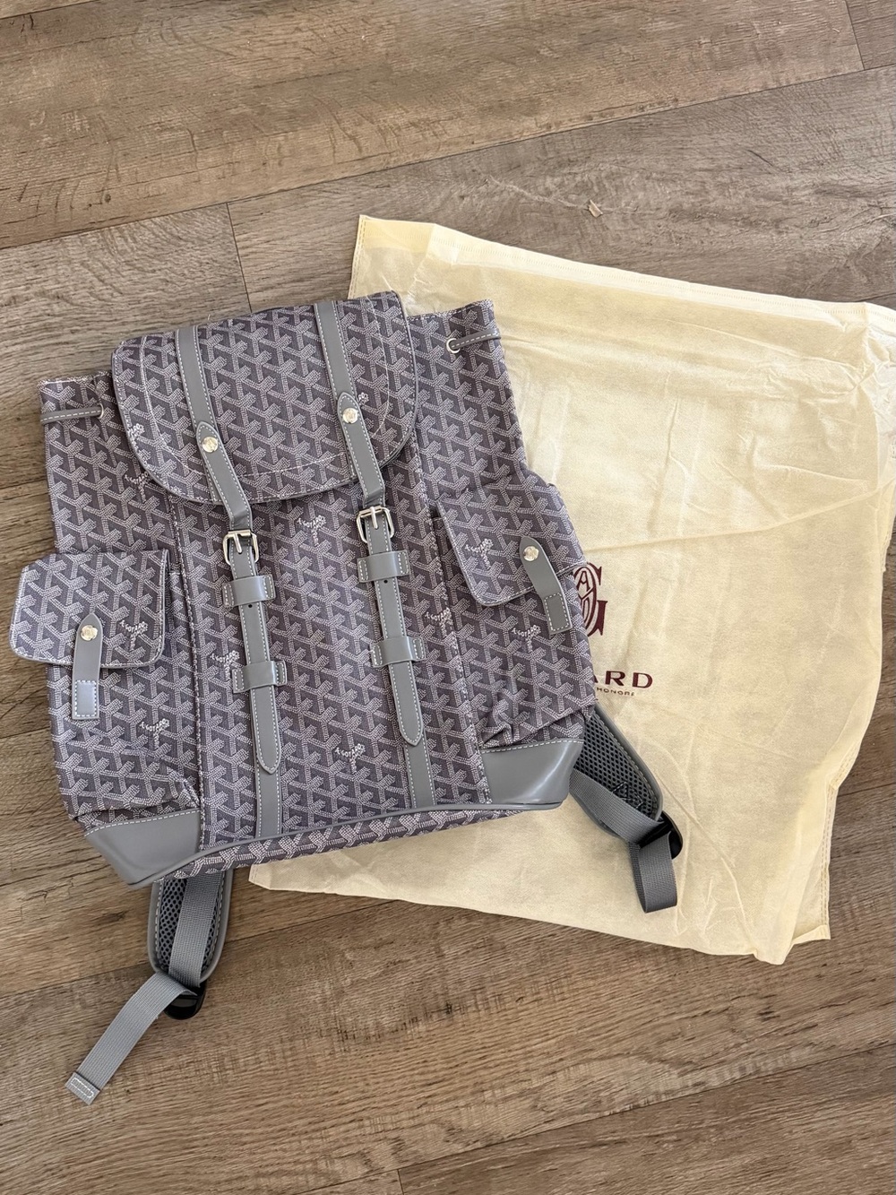 Designer Gray Patterned Men's Backpack